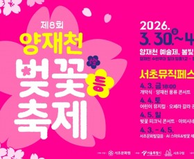 제8회 양재천 벚꽃등(燈)축제